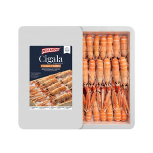 Cigala cocida 1,5kg